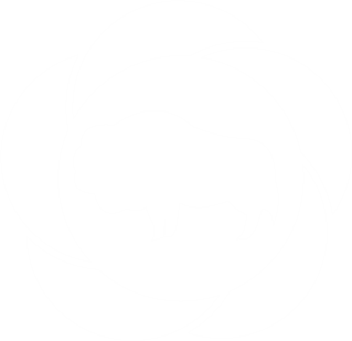 Белорусская федерация айкидо